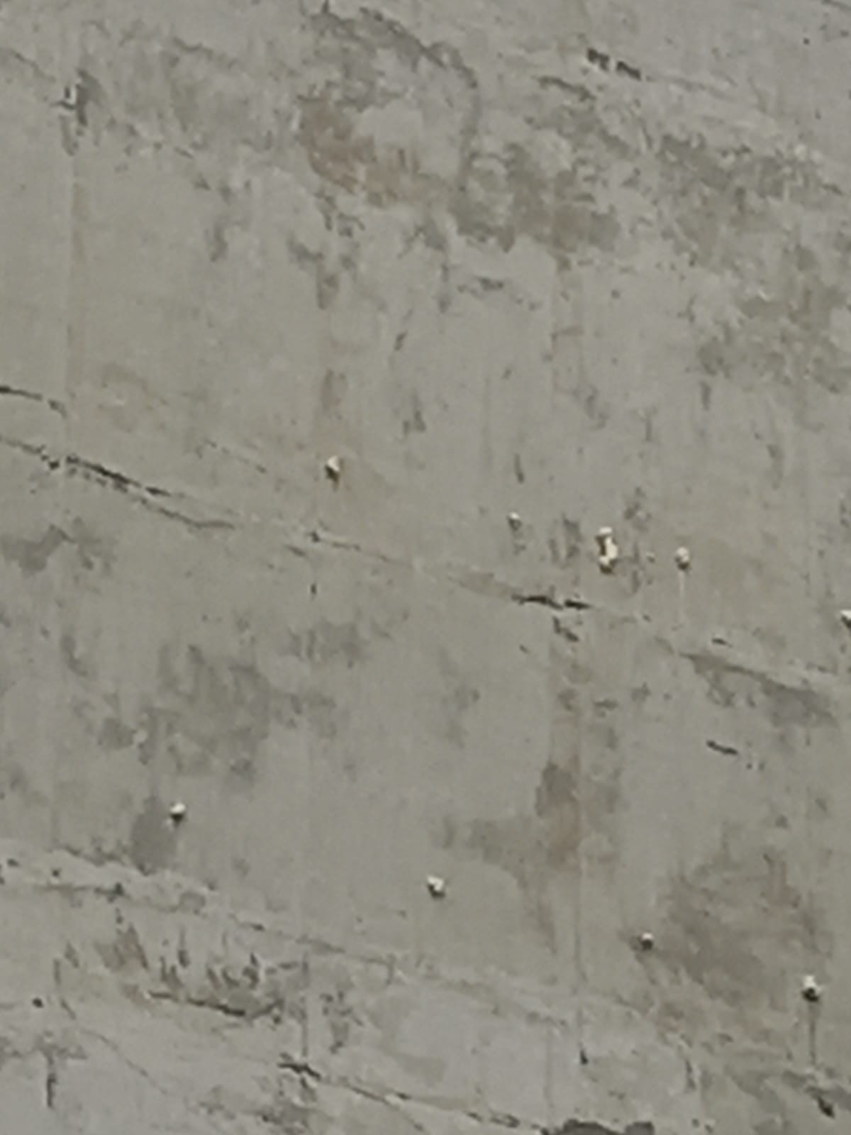 isolamenti pareti - COIBENTAZIONI.NET